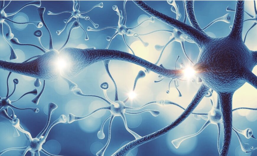 How to Calm an Overactive Nervous System