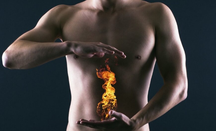 Agnis: The Biological Fire of Digestion and Metabolism