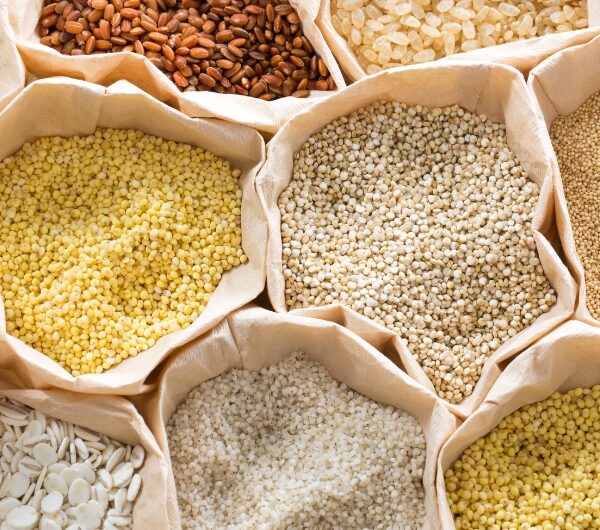 Ayurvedic Insights into Millets