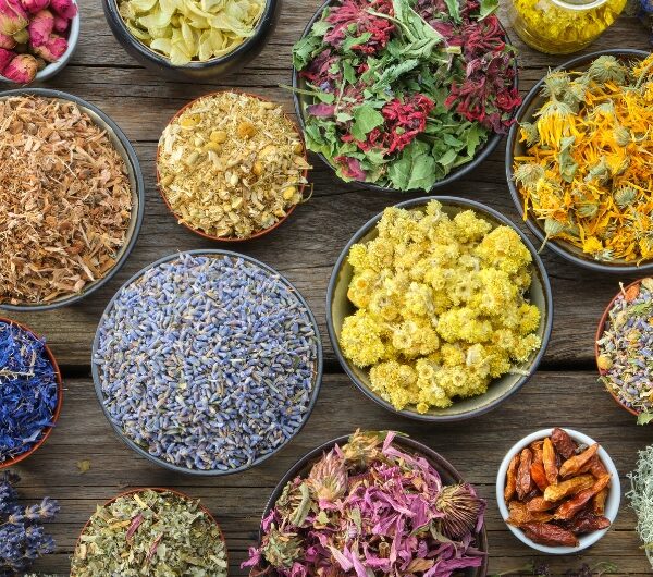Best Ayurvedic Herbs for Each Body System