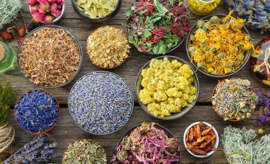 Best Ayurvedic Herbs for Each Body System