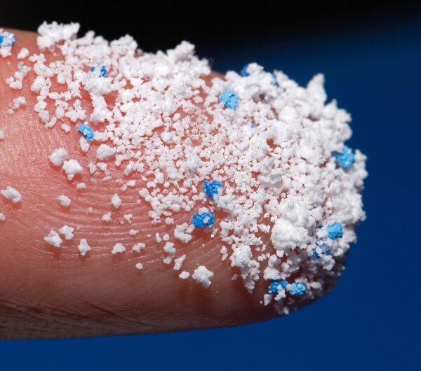 Microplastics Are Silently Damaging Your Body