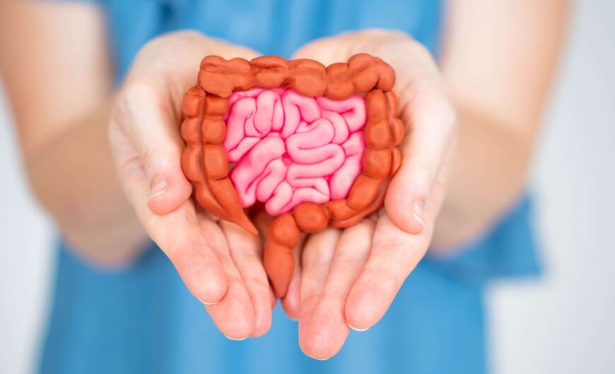 Healing Autoimmune Disease Starts with Healing Your Gut