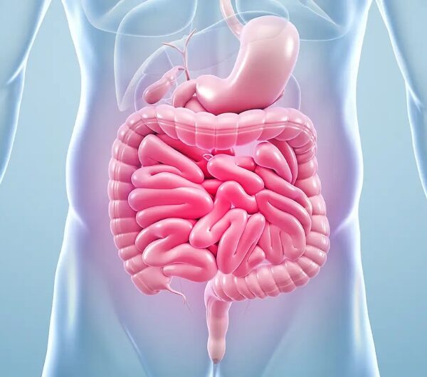 Know Your Gut Behaviour