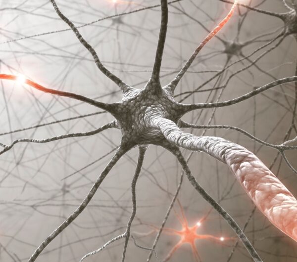 Why You Should Stimulate Your Vagus Nerve Before You Eat