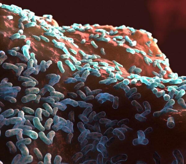 Biofilms – The Hidden Barrier to Gut Healing