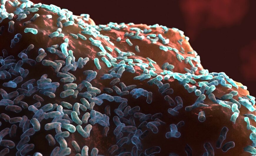 Biofilms – The Hidden Barrier to Gut Healing