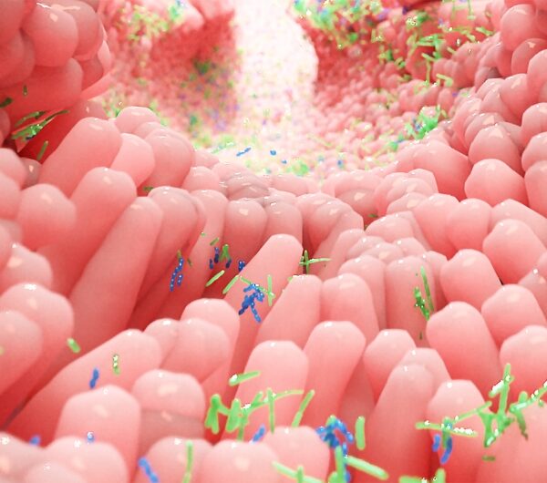Butyrate: Nature’s Gut-Healing Molecule