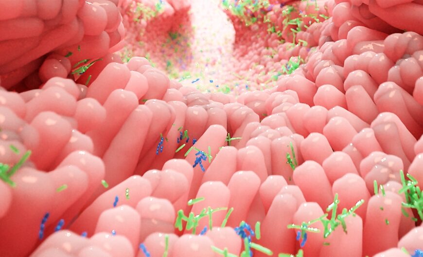 Butyrate: Nature’s Gut-Healing Molecule