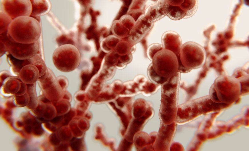 Is Candida Taking Over Your Gut?
