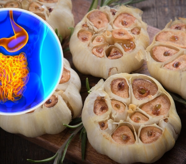 Roasted Garlic: A Natural Shield for Your Gut