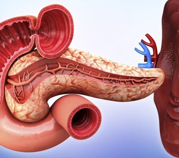 The Spleen: From a Chinese Medicine Perspective