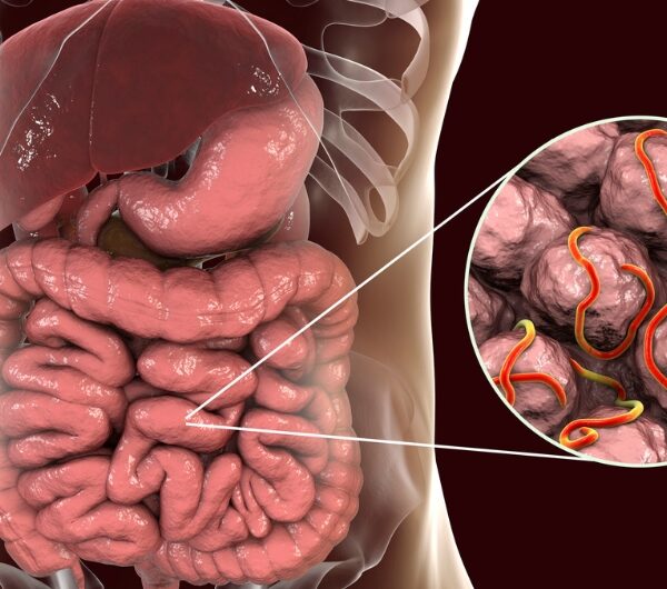 5 Surprising Facts About Parasites