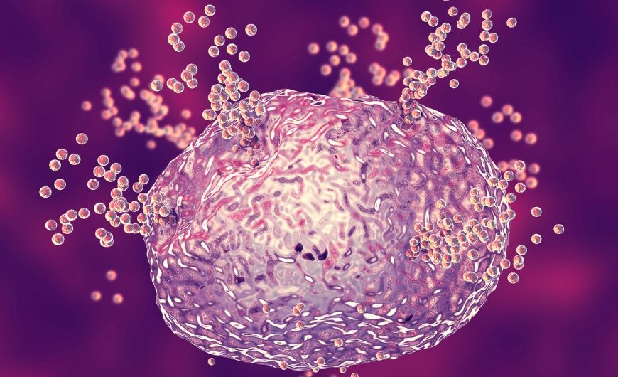 How Histamine Overload Is Triggering Your Health Issues
