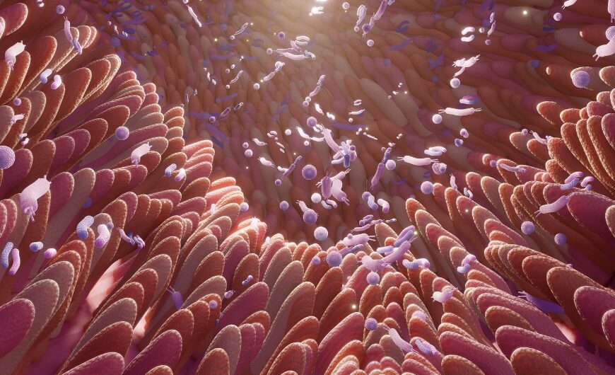 Magnesium & the Gut Lining