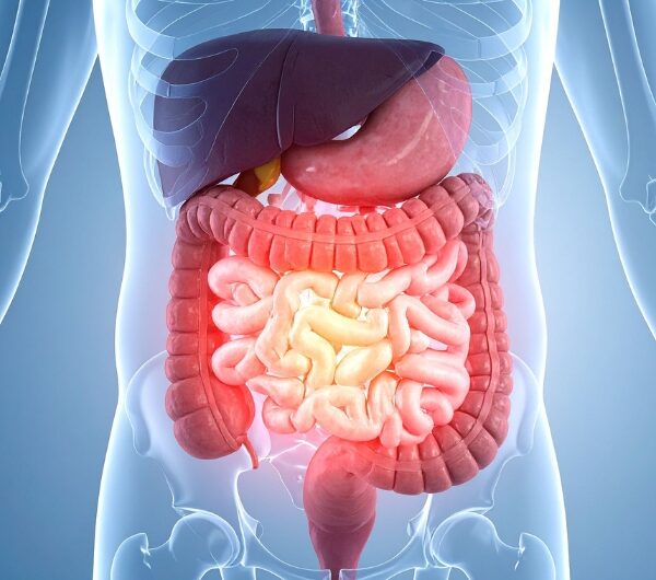 11 Gut Health Facts You Were Never Supposed to Know
