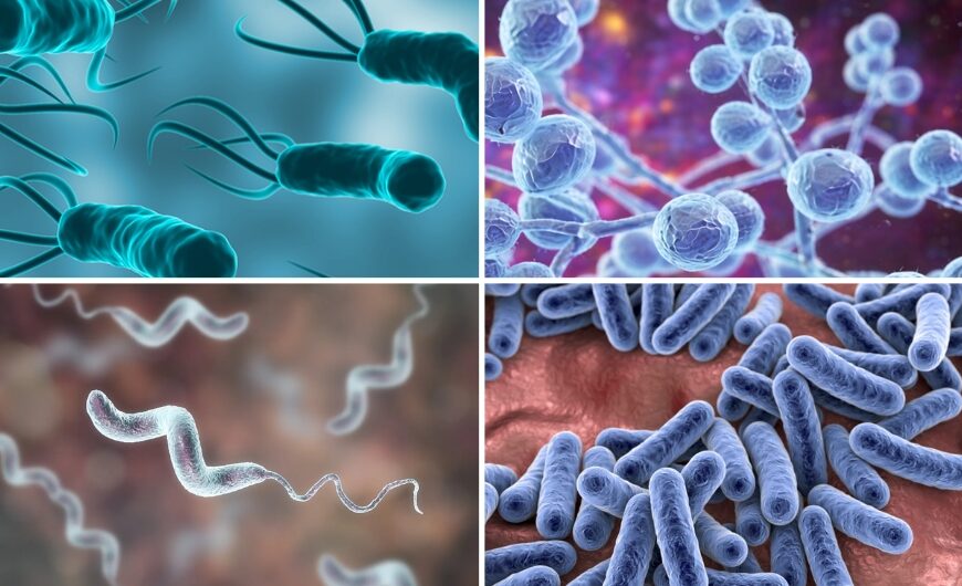 4 Infections Linked with Chronic Gut Issues